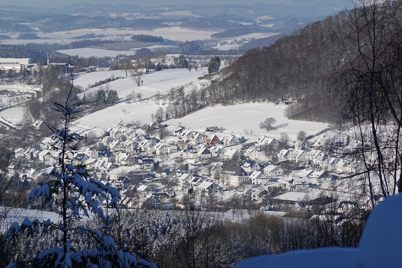 DSC00173.JPG