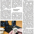 20220122 Sauerlandkurier Holzscheiben